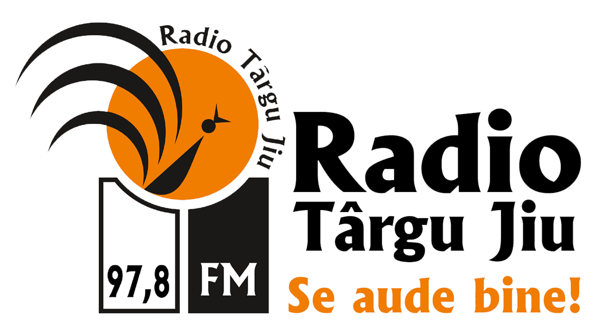 Radio Targu Jiu